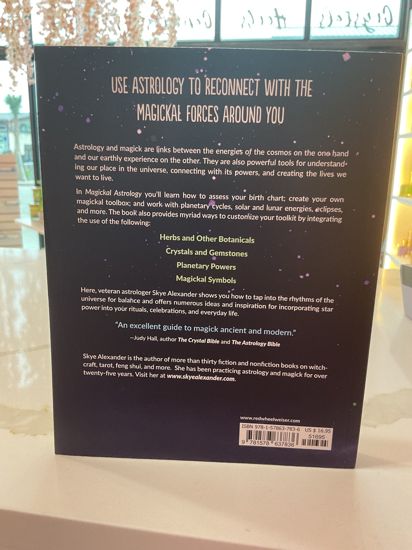 Magickal Astrology: by Skye Alexander