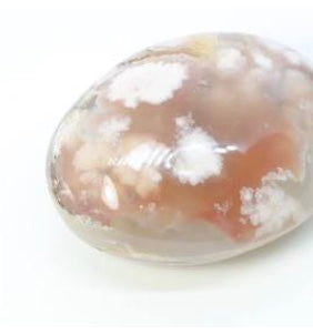 NEW Flower Agate Palm Stone